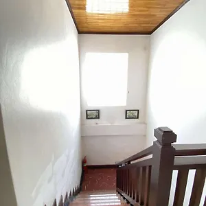Jasmine Place House 호텔
